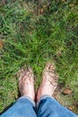Barefoot on a green grass on countryside field in a summer. Bare feet of woman standing in lush green grass Royalty Free Stock Photo