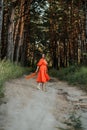 Barefoot happy young woman in red dress with hand raised dancing in pine forest at summer day. Royalty Free Stock Photo