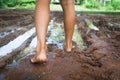 Barefoot through muddy road Royalty Free Stock Photo