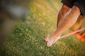 Barefoot person walking on a slackline, slacklining in the daytime, the concept of balance Royalty Free Stock Photo
