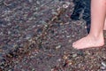 Barefoot toes in Rainbow multi-colored rocks in Avalanche creek leading towards Lake McDonald at Glacier National Park