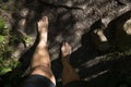 Barefoot trail experience Royalty Free Stock Photo