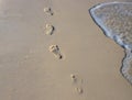 Barefoot walk marks on wet white sand. Beach view photo. Foot marks on beach. Royalty Free Stock Photo