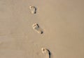 Barefoot walk on wet yellow sand. Beach texture photo. Foot marks on beach. Bare foot mark banner Royalty Free Stock Photo