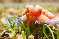 Barefooted woman's feet in flowers. Ribbon bow