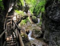 Barenschutzklamm - gorge in Austria Royalty Free Stock Photo