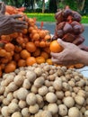 Bargaining between seller and buyer on fruits street market
