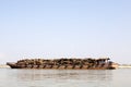 Barge Carrying Logs