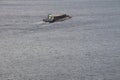 Barge floating on the Dnieper river Royalty Free Stock Photo