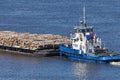 The barge transports cargo, timber logs along the river in summer. Royalty Free Stock Photo