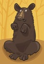 Baribal American black bear Royalty Free Stock Photo