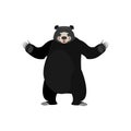 Baribal Happy Emoji. American Black Bear merryl emotion isolated Royalty Free Stock Photo