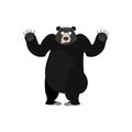 Baribal Surprised Emoji. American Black Bear astonished emotion