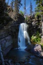 Baring Falls, Glacier National Park, Montana,USA Royalty Free Stock Photo