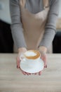 Barista in apron in coffee shop give just brewed fresh coffee to customer