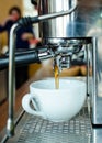 Barista Coffee Brewing Royalty Free Stock Photo