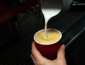 Barista girl pours freshly frothed milk in to coffee. Coffee to go. Close-up. Selective focus Royalty Free Stock Photo