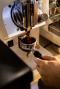 Barista grinding coffee beans Royalty Free Stock Photo