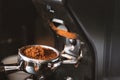 Barista grinding coffee beans using coffee machine, coffee grinder grinding freshly roasted make beans into a powder Royalty Free Stock Photo