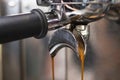 barista preparing for pressing ground coffee for brewing espresso or americano in a cafe Royalty Free Stock Photo