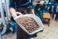 Barista woman with a sample of freshly roasted coffee beans