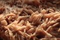 barite mineral texture Royalty Free Stock Photo