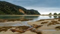 Bark Bay, Abel Tasman National Park, Tasman region south island, Aotearoa / New Zealand Royalty Free Stock Photo