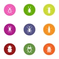 Bark beetle icons set, flat style