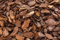 Bark crushed wood brown natural background wooden crisps decor mulch background rustic eco fertilizer Royalty Free Stock Photo