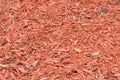 Bark mulch Royalty Free Stock Photo