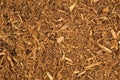 Bark Mulch Background