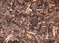 Bark mulch background, outdoor wallpaper