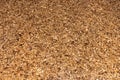 Bark mulch, wood chips. Background, Texture Royalty Free Stock Photo