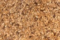 Bark mulch, wood chips. Background, Texture Royalty Free Stock Photo