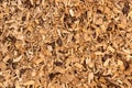 Bark mulch, wood chips. Background, Texture Royalty Free Stock Photo