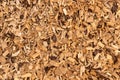 Bark mulch, wood chips. Background, Texture