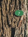 Bark with number seven vertical