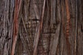 The Bark of an old Tallow Wood Gum Tree Royalty Free Stock Photo