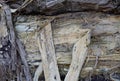 Bark of an old tree, background, texture