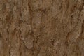 Bark texture Wood texture for background space for text