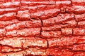 Red textural abstract background. The bark of the tree is toned Royalty Free Stock Photo
