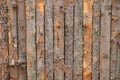 Bark wood texture Royalty Free Stock Photo