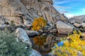 Barker Dam - Joshua Tree National Park Royalty Free Stock Photo