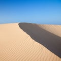 Barkhan dune, evening light Royalty Free Stock Photo