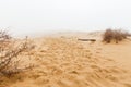 Barkhan Sarykum. Dagestan, Russia. Sand mountain in the Caucasus. Dune