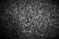 Barking mulch. Rough abstract black and white background.