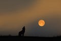 Red moon and barking dog in the evening Royalty Free Stock Photo