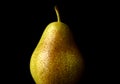 Barlett pear against black