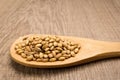 Barley cereal grain. Grains in wooden spoon. Rustic. Royalty Free Stock Photo