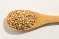 Barley cereal grain. Nutritious grains on a wooden spoon on whit Royalty Free Stock Photo